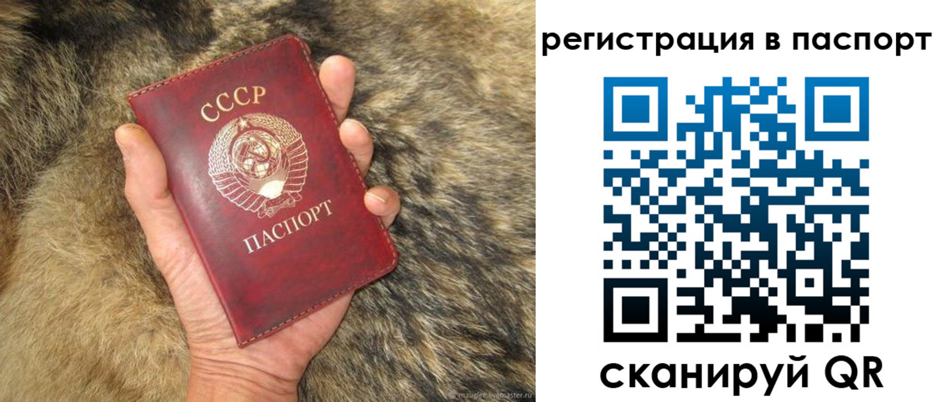 временная регистрация надежно в Серове